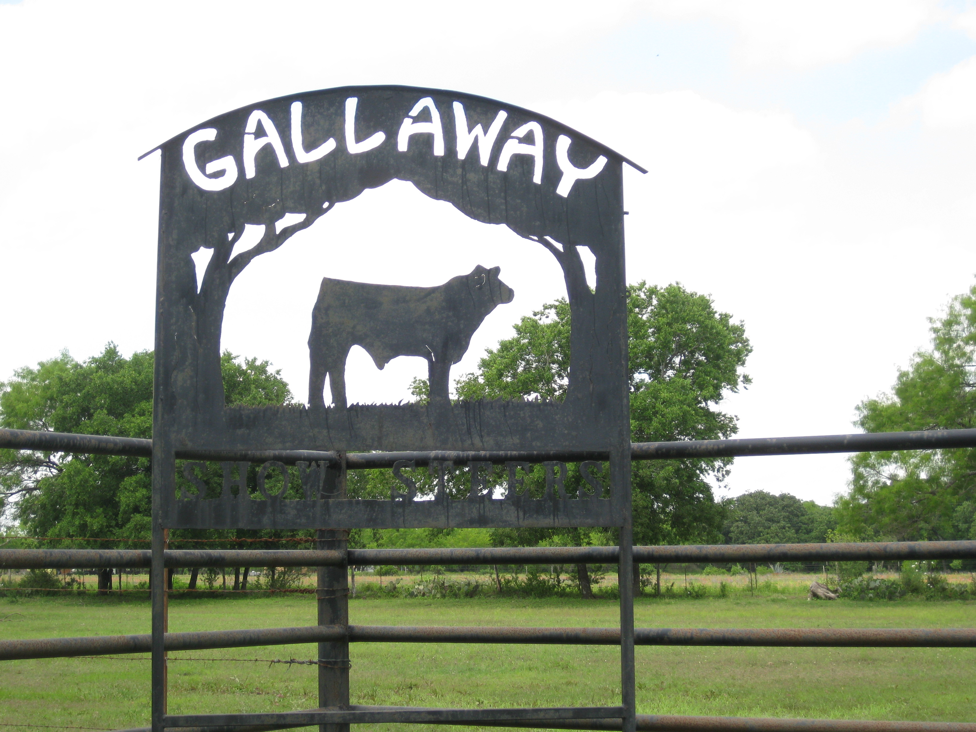 Gallaway Steers Sign